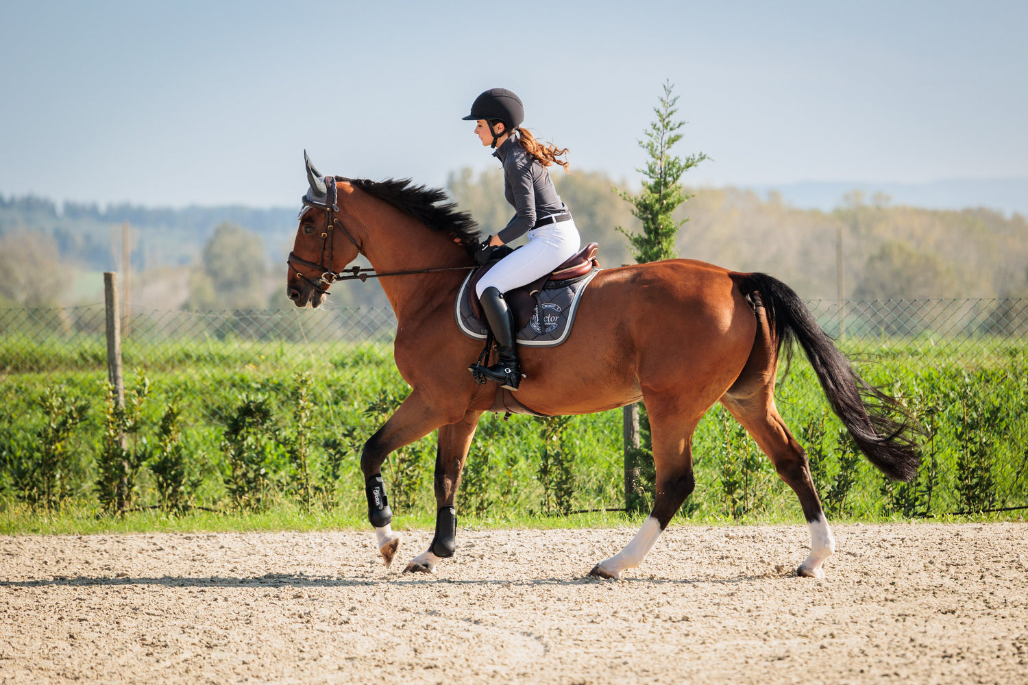 MDR_3809.jpg__PID:f6a7a80d-0546-4d88-a736-e140c1b1234f